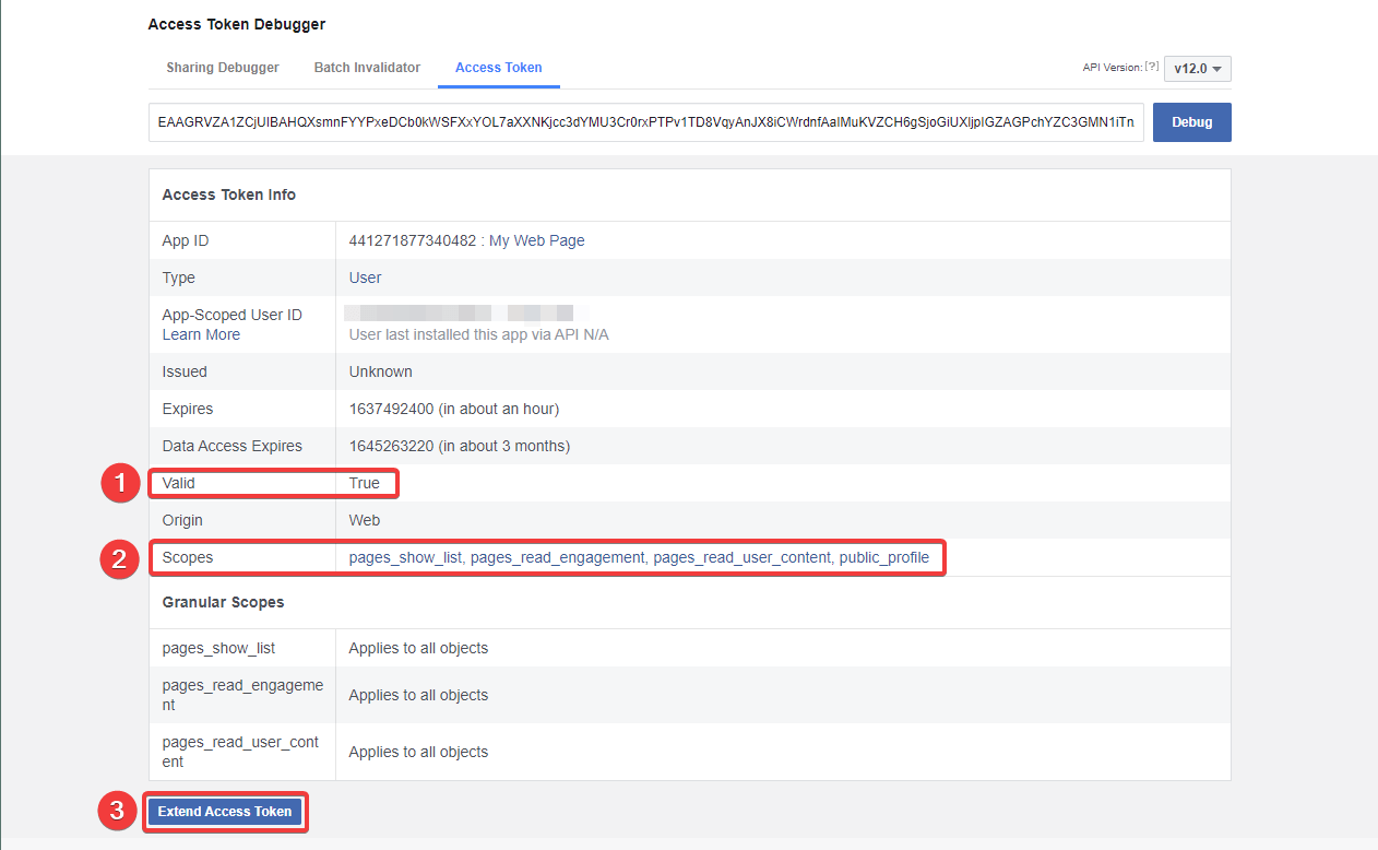 Facebook Access Token Debugger