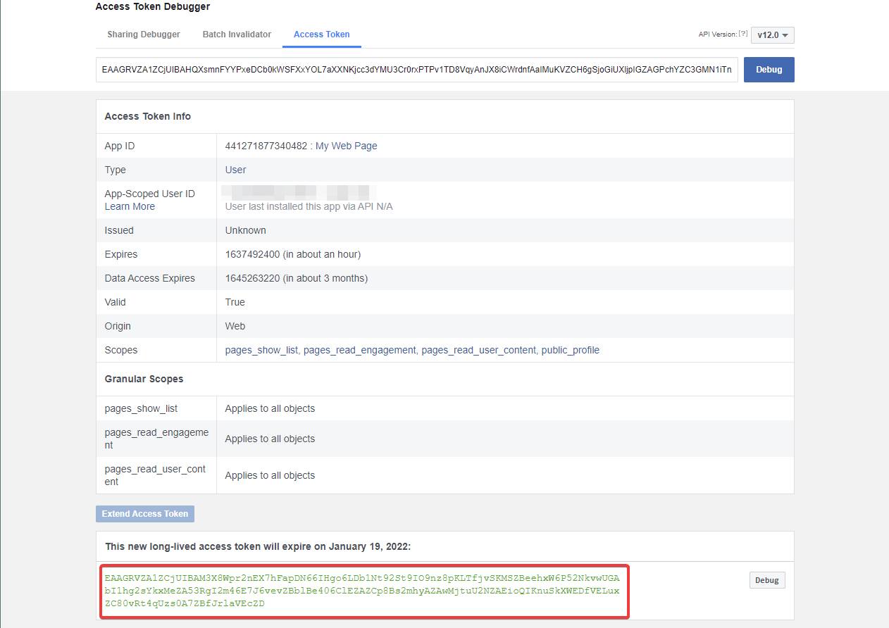 Facebook Access Token Debugger