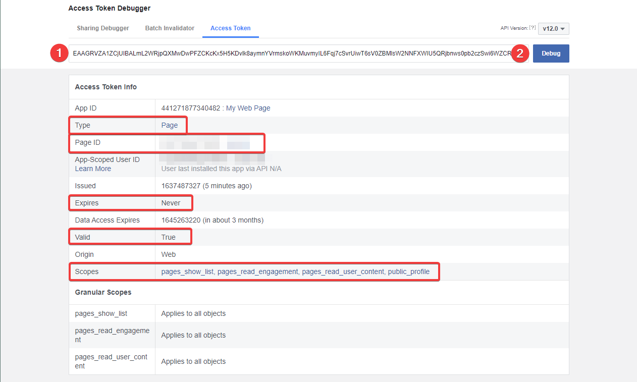 Facebook Access Token Debugger - generated access token